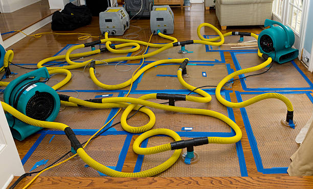 Professional Burst Pipe Water Damage technician working in Sanbornville, NH